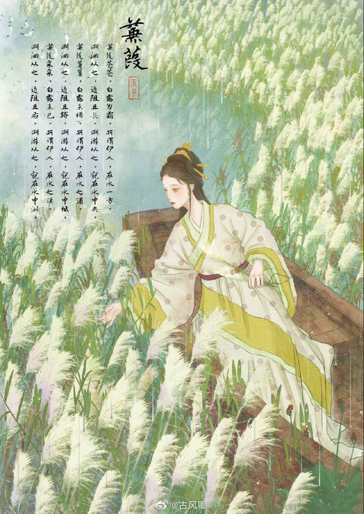厨房游戏